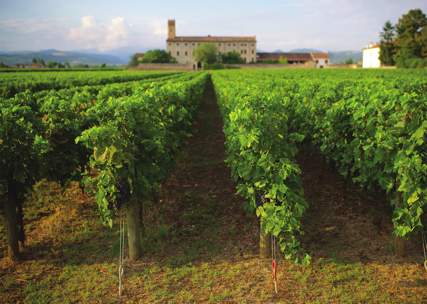 Tenuta Santa Maria