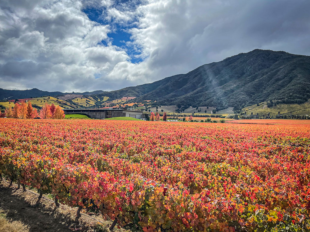 World's Best Vineyards