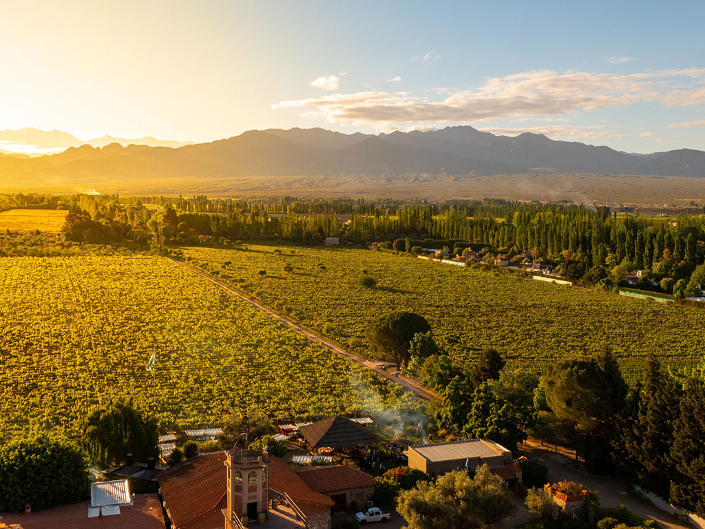 World's Best Vineyards