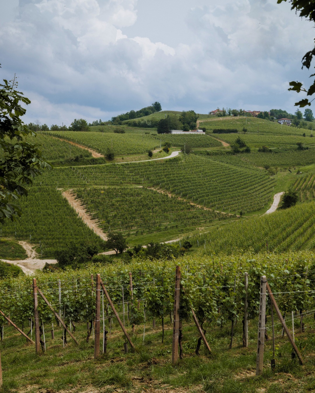 Rocche dei Manzoni