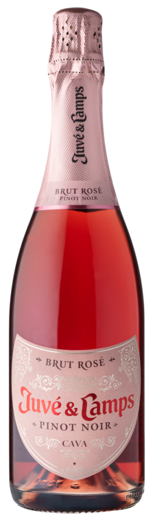 Cava Juve & Camps Brut Rose Pinot Noir