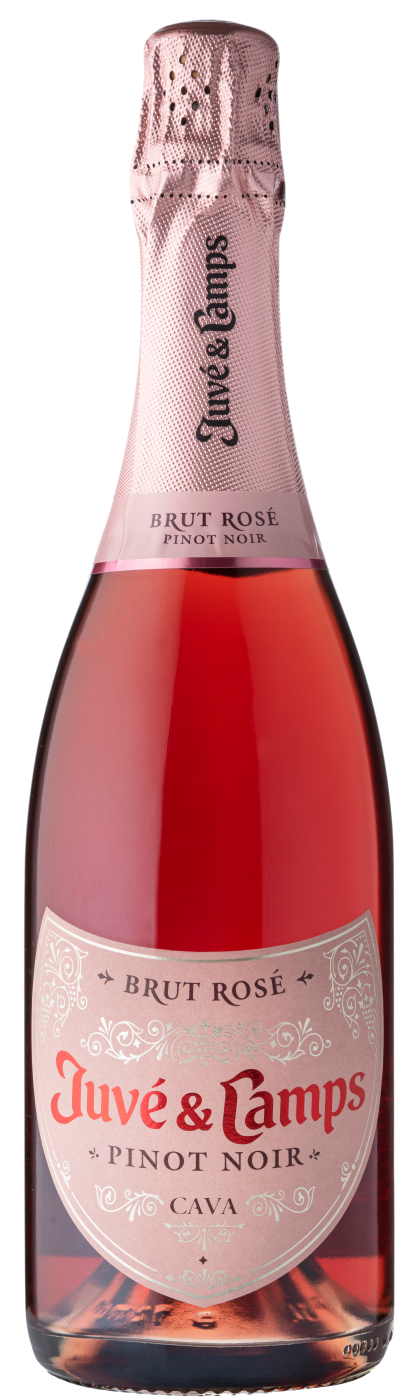 Juve Camps Brut Rose Pinot. Вино Bree Rose Pinot Noir розовое полусладкое. Розовая кава. Розовая кава Испания.