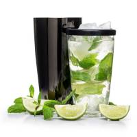 SagaForm Шейкер барный типа «Бостон» Club