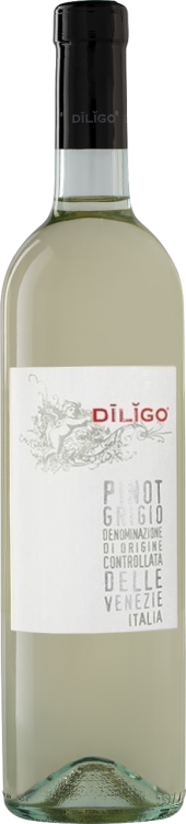 Итальянское вино Pinot Grigio Diligo белое сухое