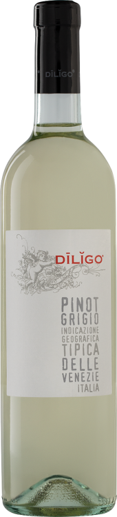 Итальянское вино Pinot Grigio Diligo белое сухое