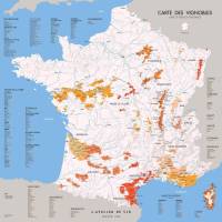 Винная карта Франции L'Atelier Du Vin Map of French vineyards